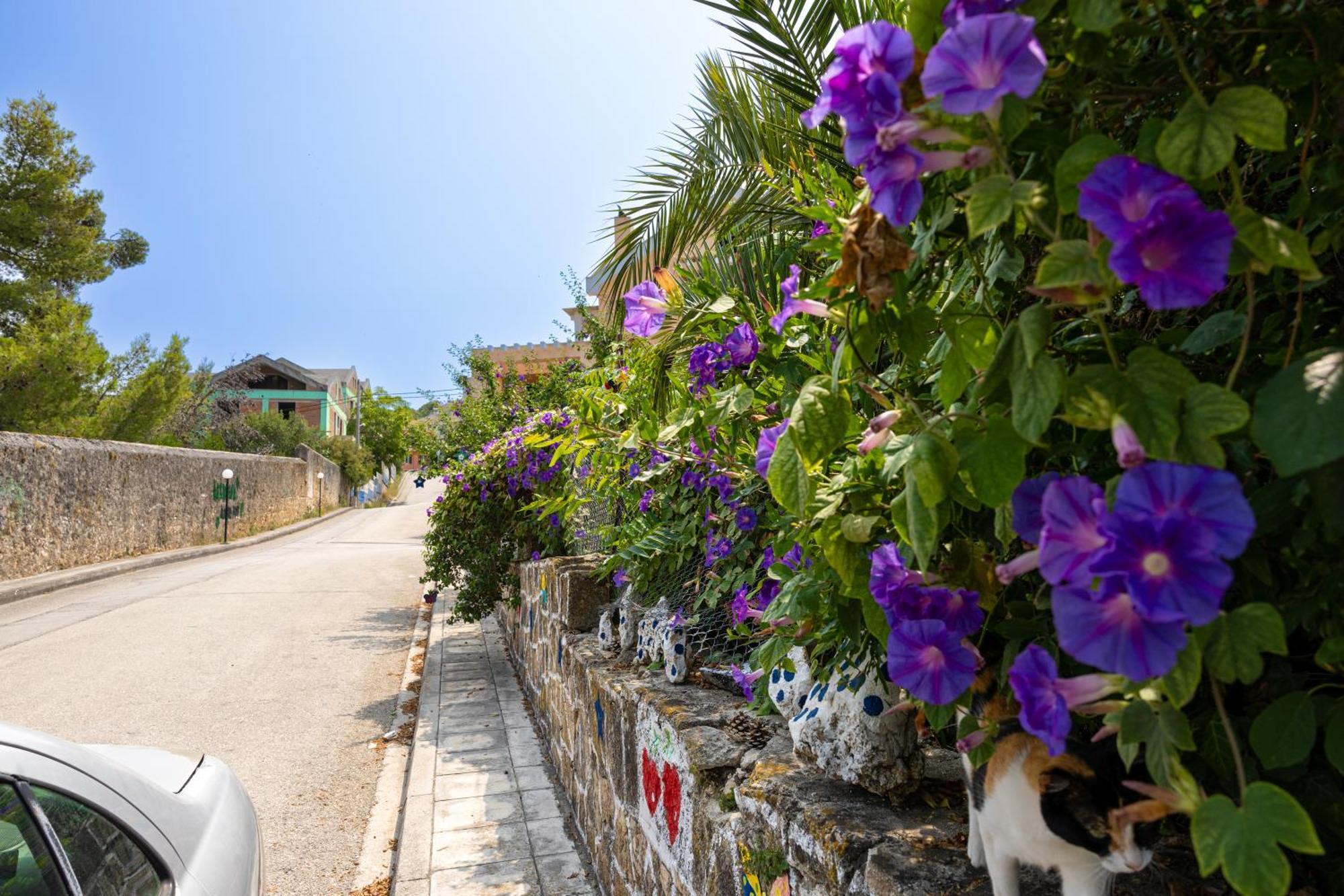 Domus City Apartment Argostoli  Ngoại thất bức ảnh